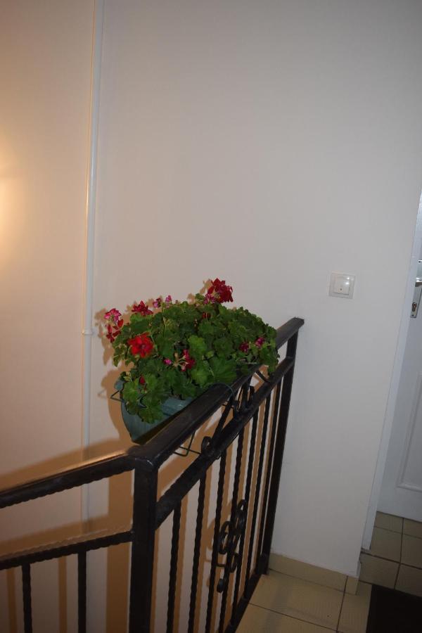 Nadja Novi Sad Exterior foto
